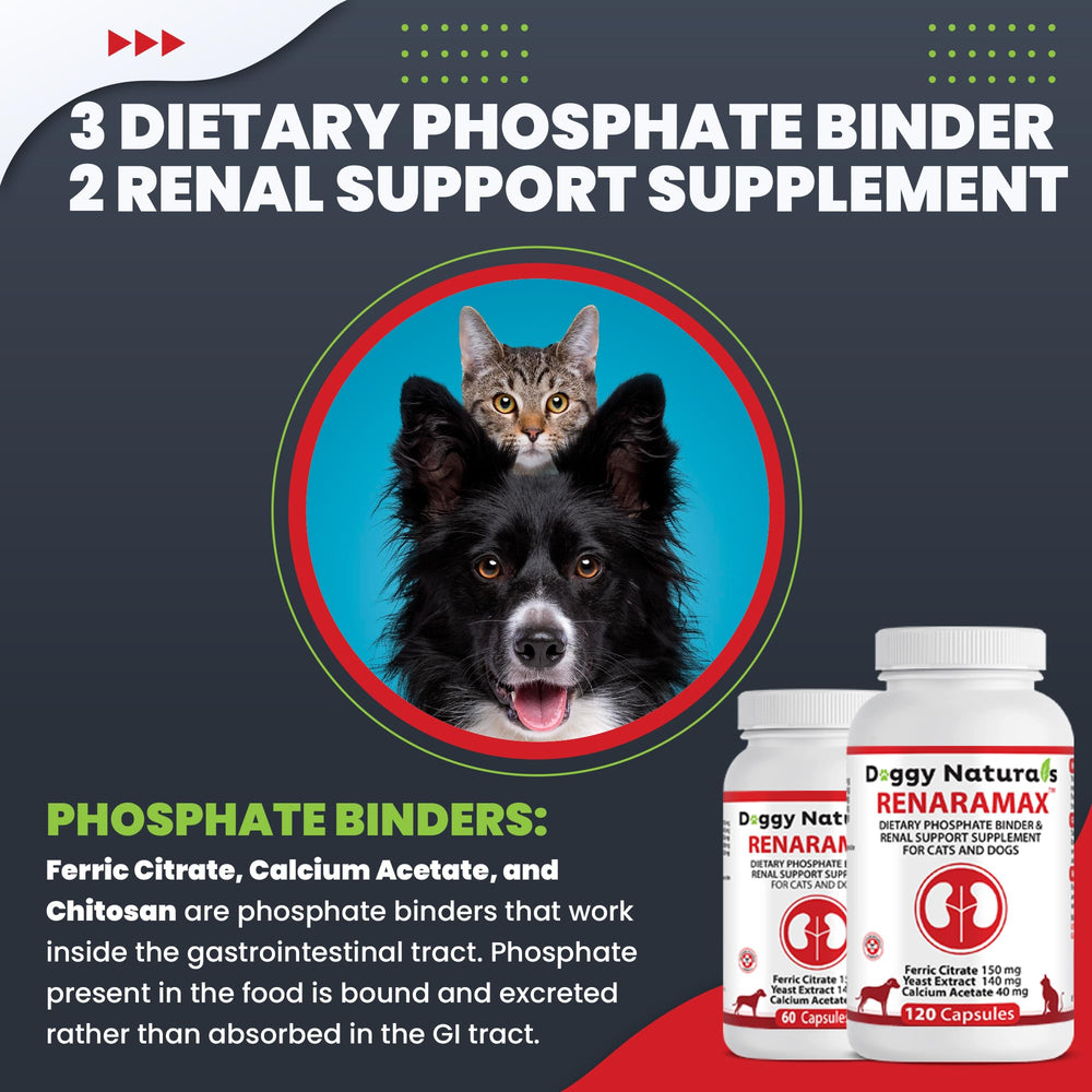 Pet Health Pharma RENARAMAX démonstration administration à un chien aimant la nourriture