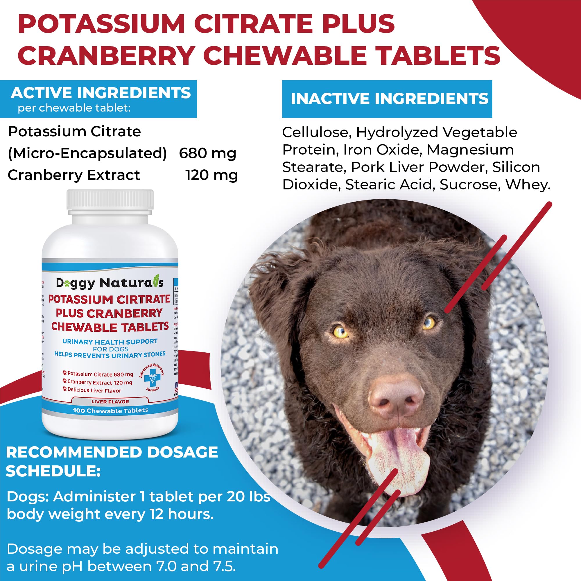 Pet Health Pharma gros plan sur la texture des comprimés, facilite administration