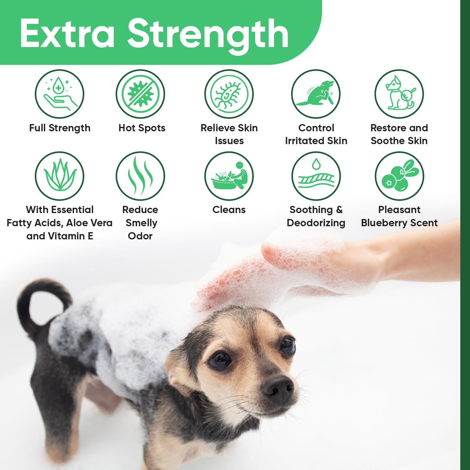 Pet Health Pharma Truseb application sur chien apaise et nettoie