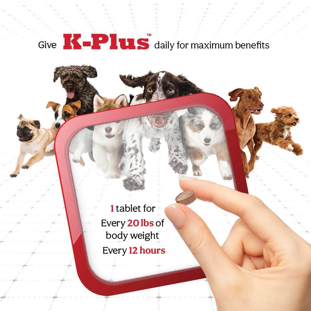 Vétérinaire tenant K-Plus discutant d’un protocole de santé urinaire