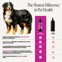 Pet Honesty versement sur croquettes pour administration facile et appétente