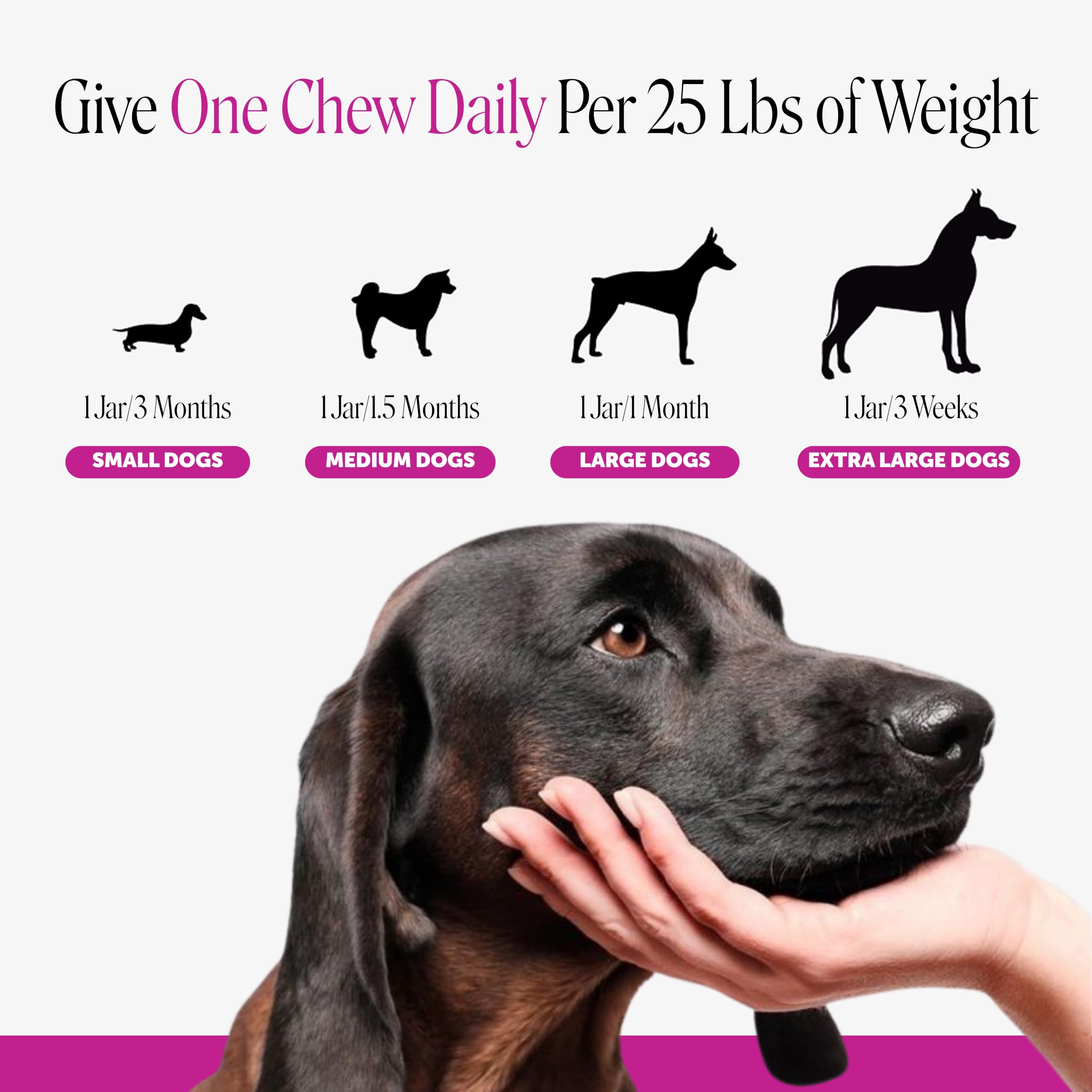 Pet Honesty avant et après pelage plus brillant grâce aux oméga-3