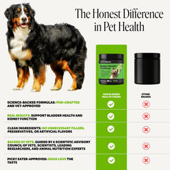 Pet Honesty bocal ouvert 90 unités pour une cure prolongée et prise quotidienne simple