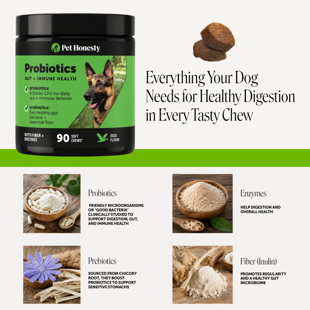 Pet Honesty bol rempli de croquettes avec chiot heureux illustrant acceptation