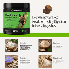 Pet Honesty bol rempli de croquettes avec chiot heureux illustrant acceptation