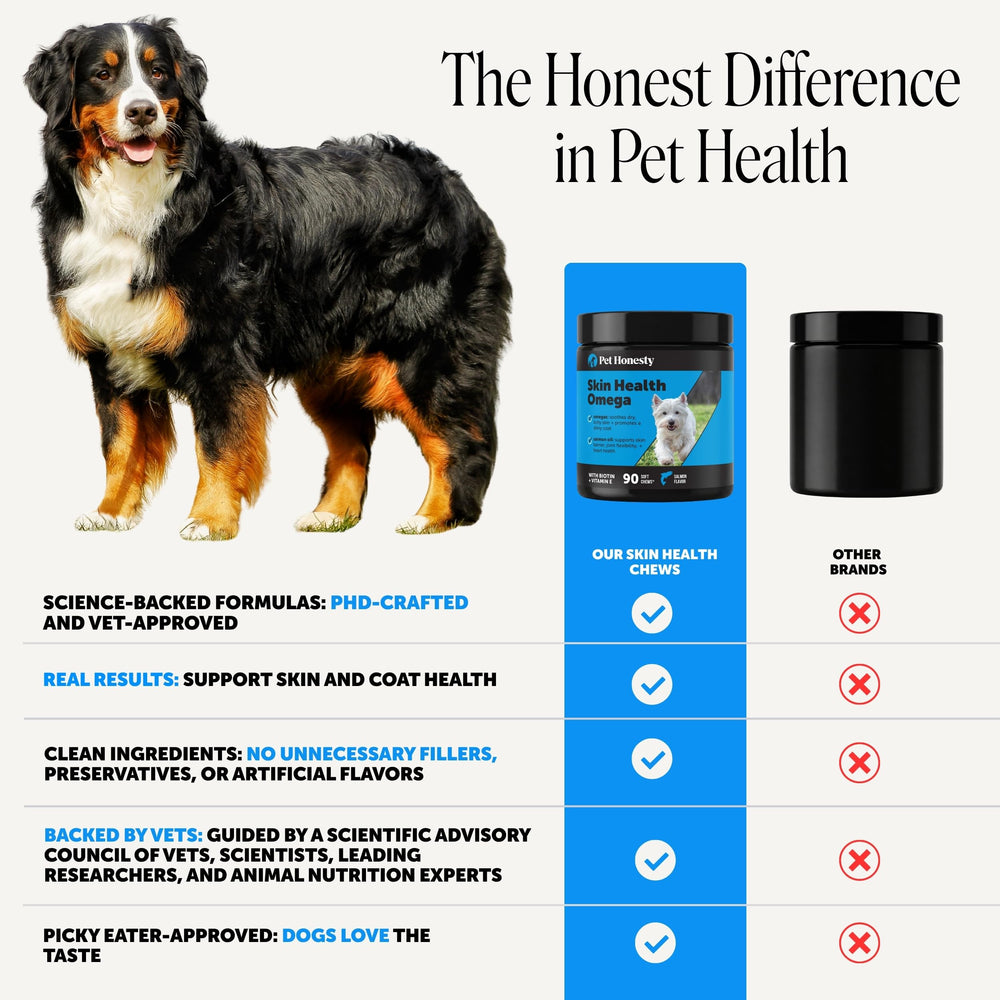 Pet Honesty bol avec chiot utilisant chews aide peau et pelage