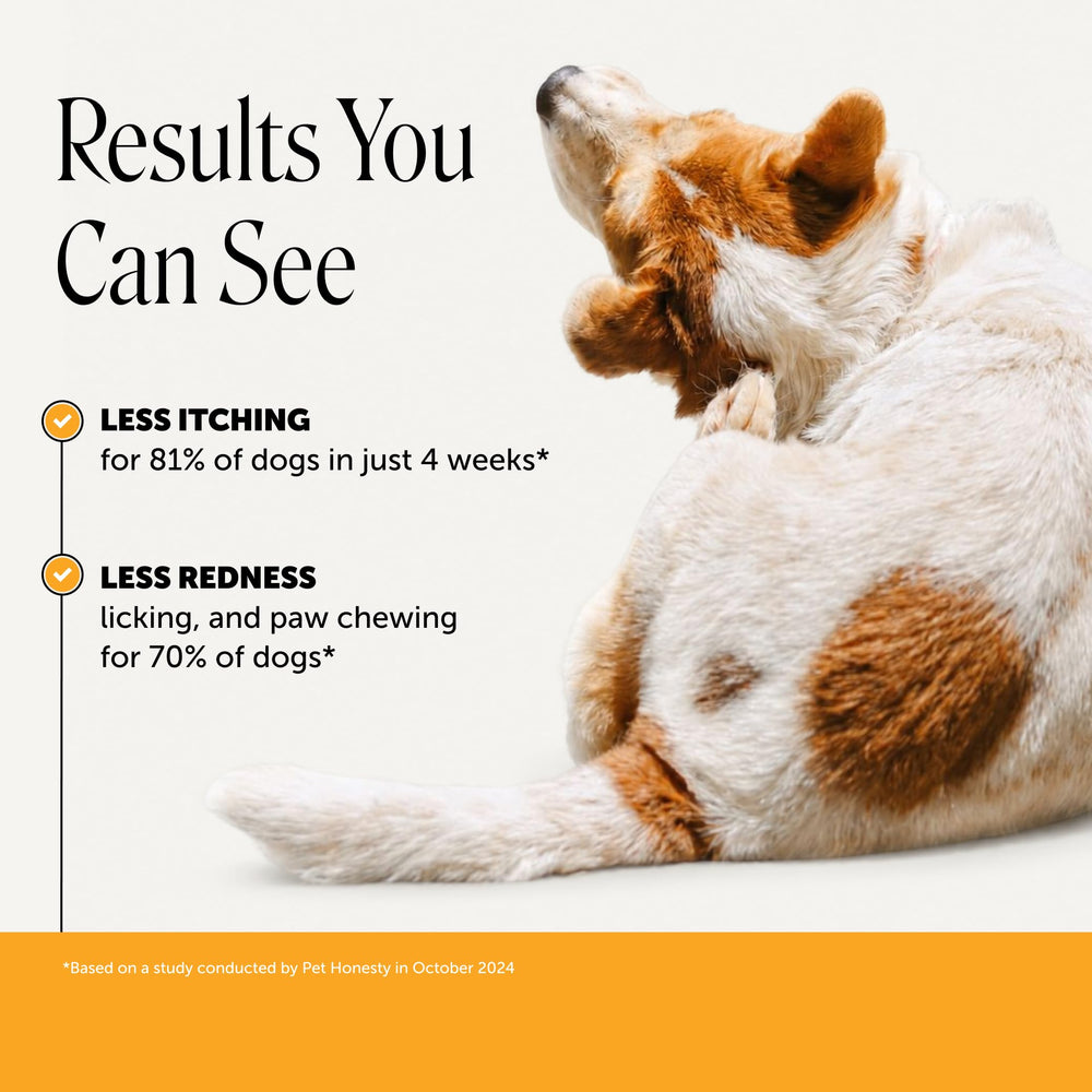 Pet Honesty bouchées gros plan, texture appétente et soulagement rapide