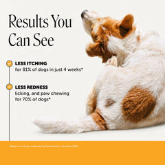 Pet Honesty bouchées gros plan, texture appétente et soulagement rapide