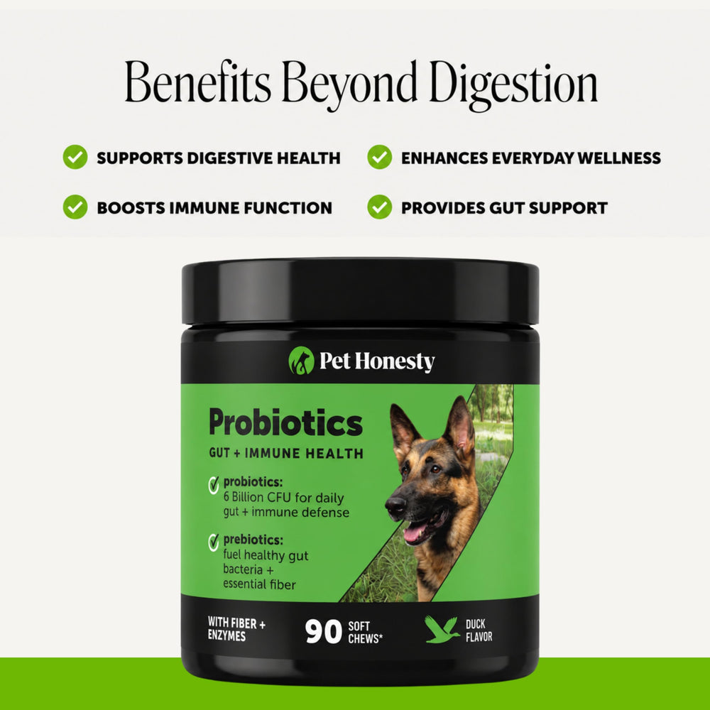 Pet Honesty chews dans une main pour montrer la taille et dose pratique