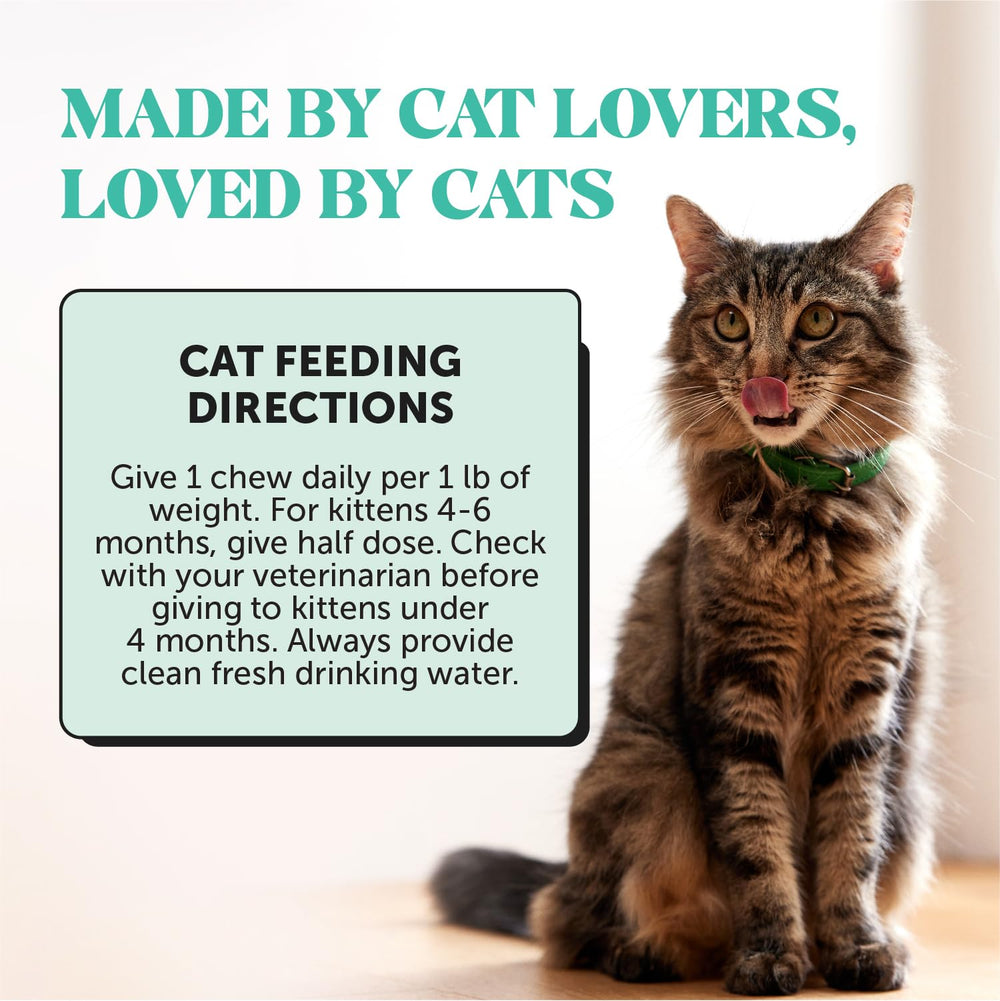 Pet Honesty chat acceptant friandise illustrant facilité d'utilisation