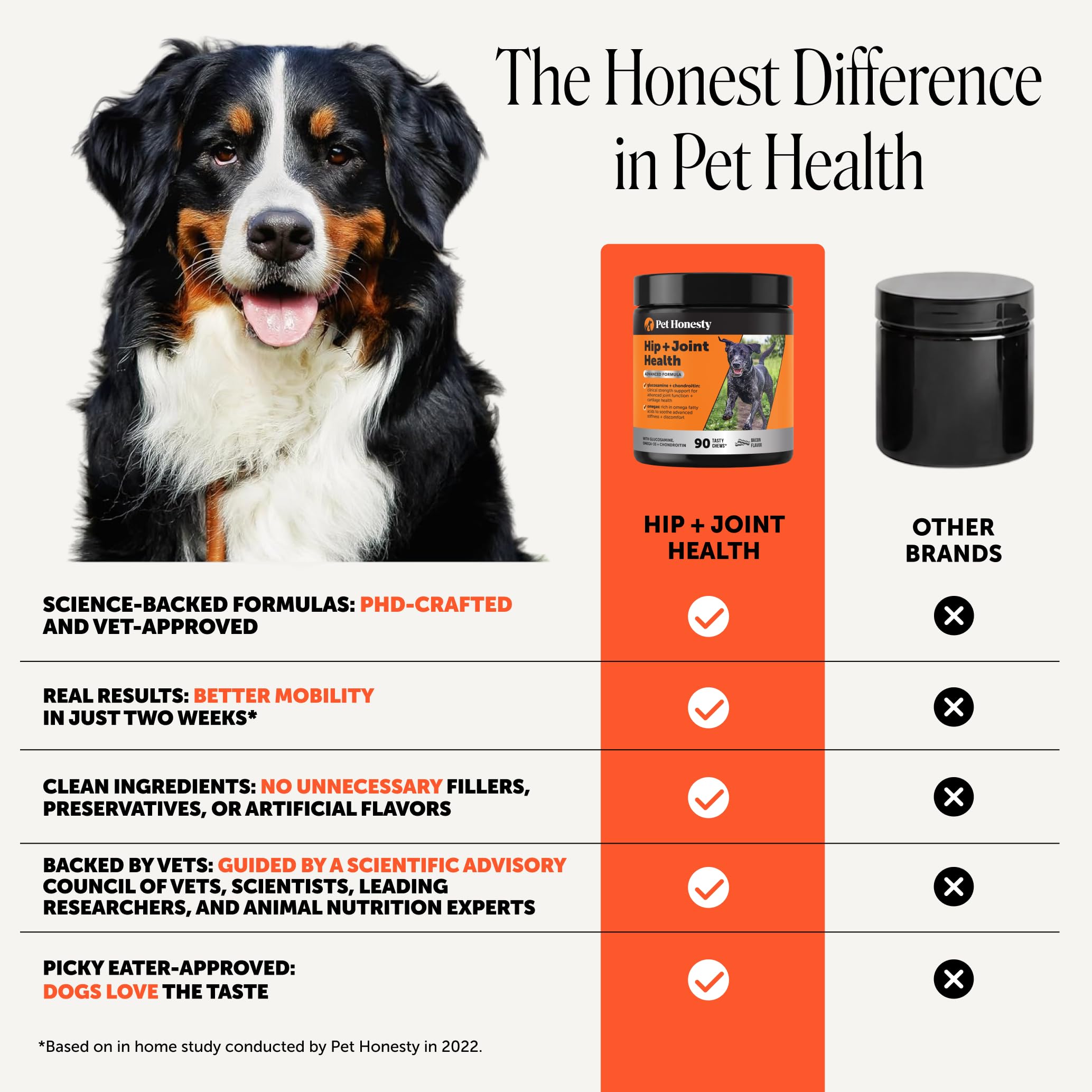 Pet Honesty chien mangeant friandise illustrant acceptation et soutien articulaire