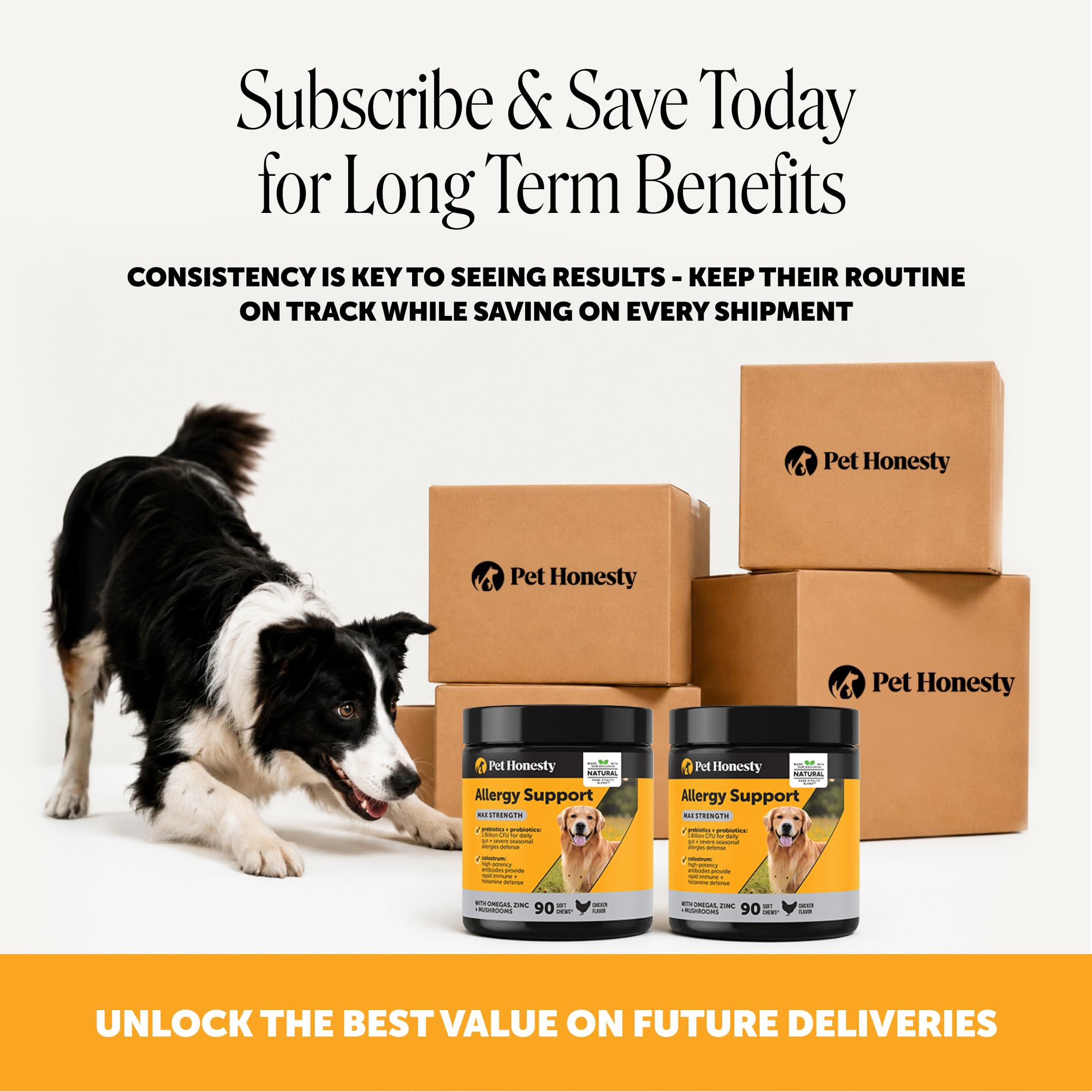 Pet Honesty chien mangeant une chew, acceptation élevée et facilité d'administration