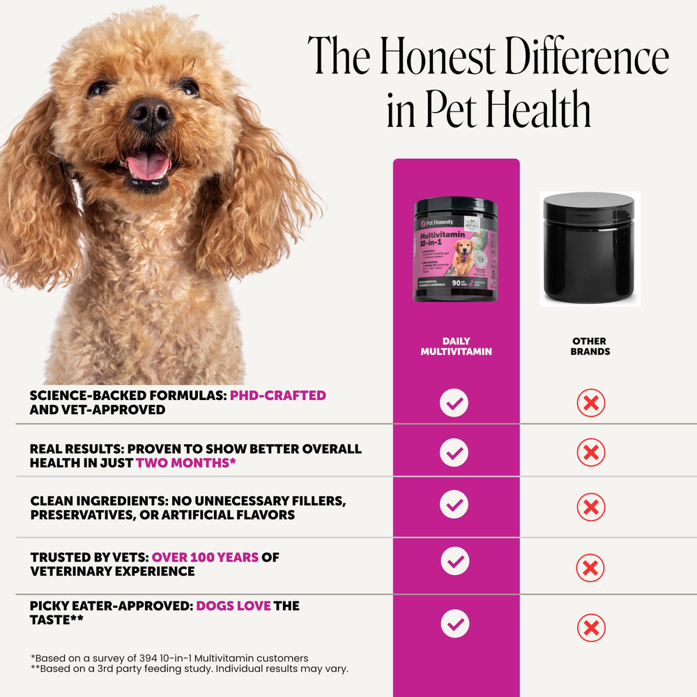 Pet Honesty chien mangeant la friandise bénéfice appétence