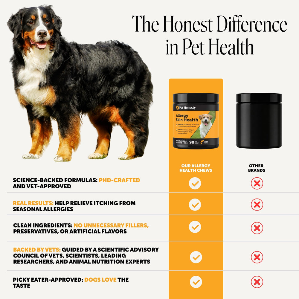 Pet Honesty chien recevant friandise montre acceptation et plaisir