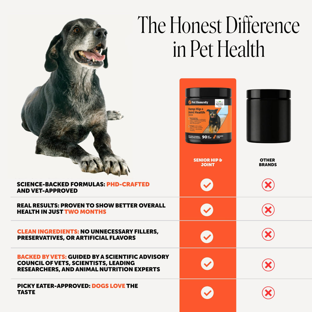 Pet Honesty comprimé posée près d'une pièce pour comparaison de taille pratique