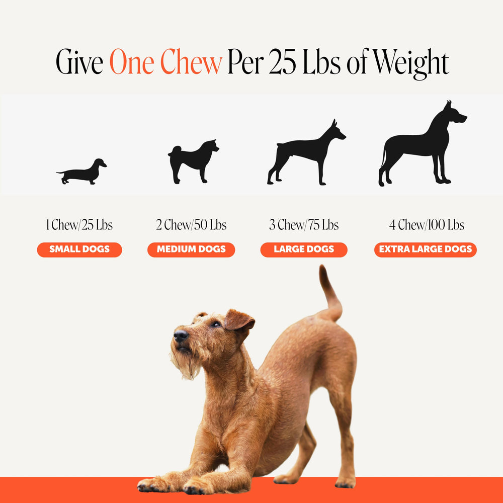 Pet Honesty comparaison de taille d'une pastille pour dosage facile