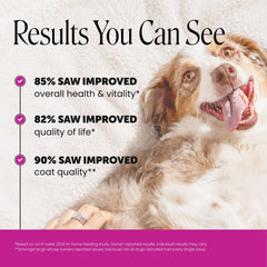 Pet Honesty gros plan de la texture des comprimés pour appétence et sécurité