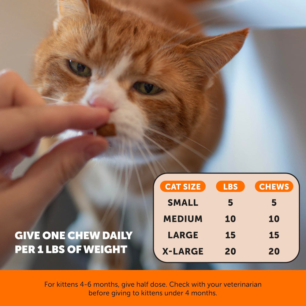 Pet Honesty croquette émiettée sur nourriture, facile à mélanger