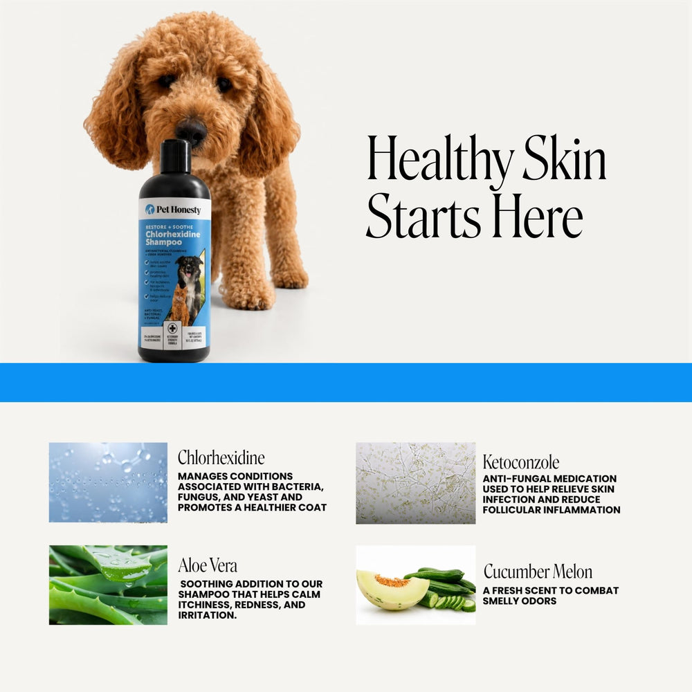 Pet Honesty flacon 16 oz posé près d'une règle montrant taille pratique