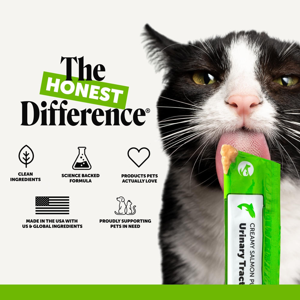 Pet Honesty comparaison taille sachet pour visualiser portion pratique