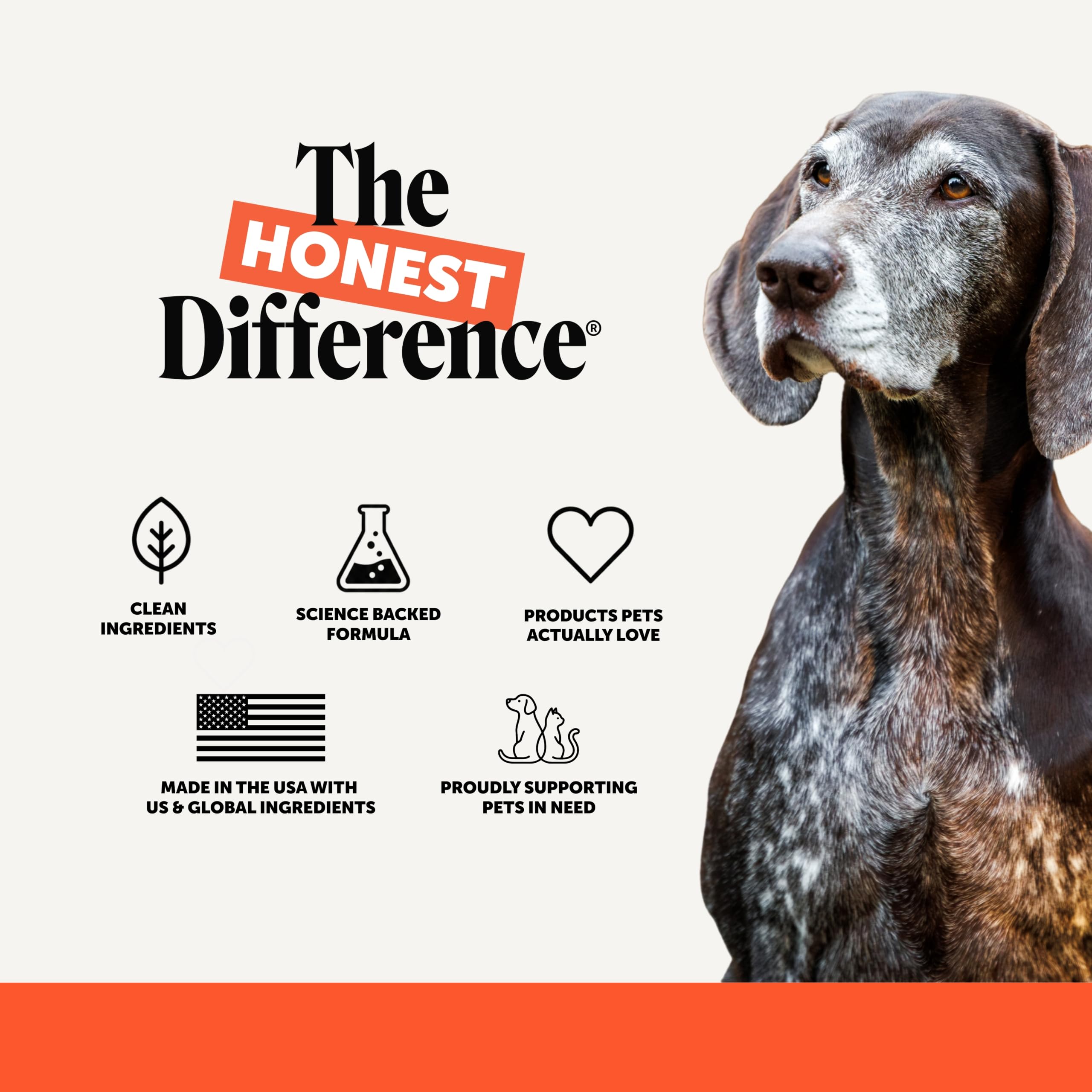 Pet Honesty emballage recyclé soulignant engagement éco et responsabilité sociale