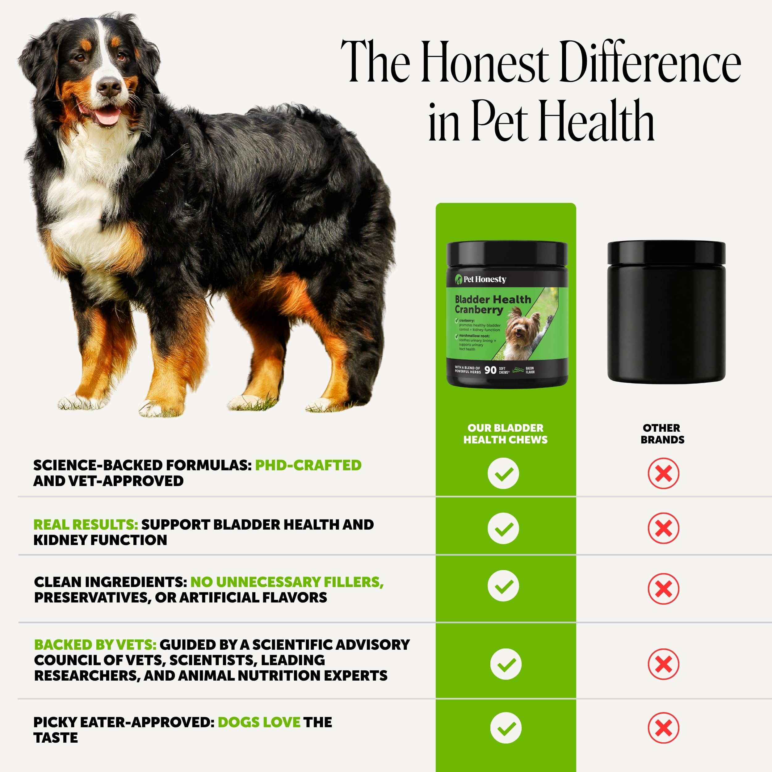 Pet Honesty en usage avec chien, facilite donner le complément quotidien