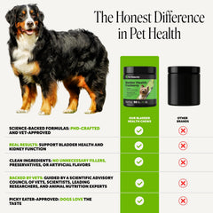 Pet Honesty en usage avec chien, facilite donner le complément quotidien