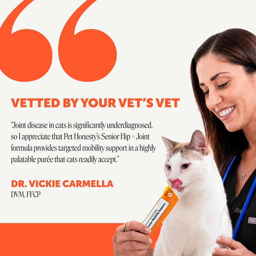 Chat léchant Pet Honesty démontrant acceptation et facilité d’usage