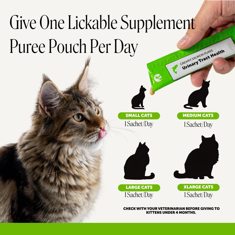 Pet Honesty étiquette lisible ingrédients propres et sans additifs