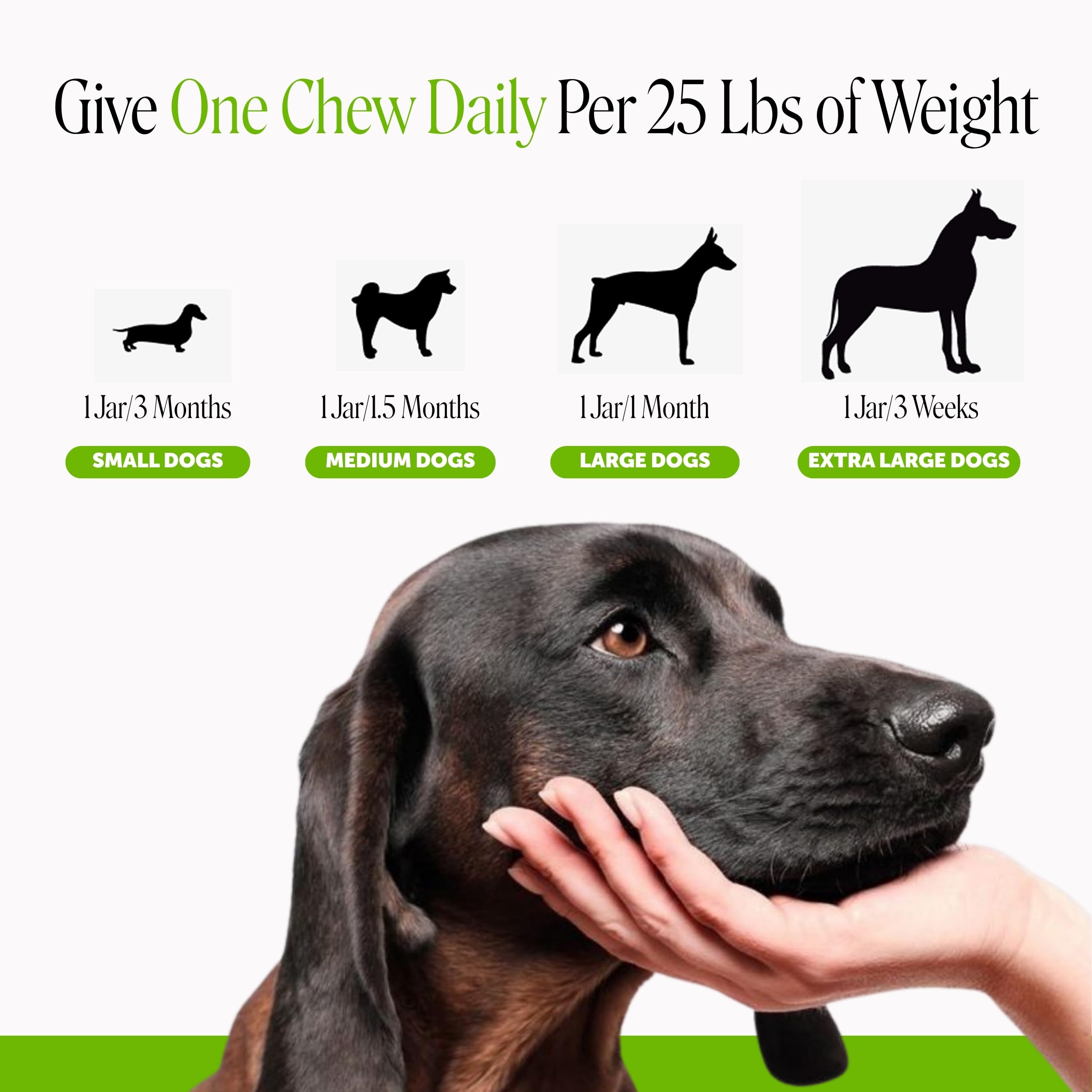 Pet Honesty étiquette ingrédients, met en avant formule sans allergènes