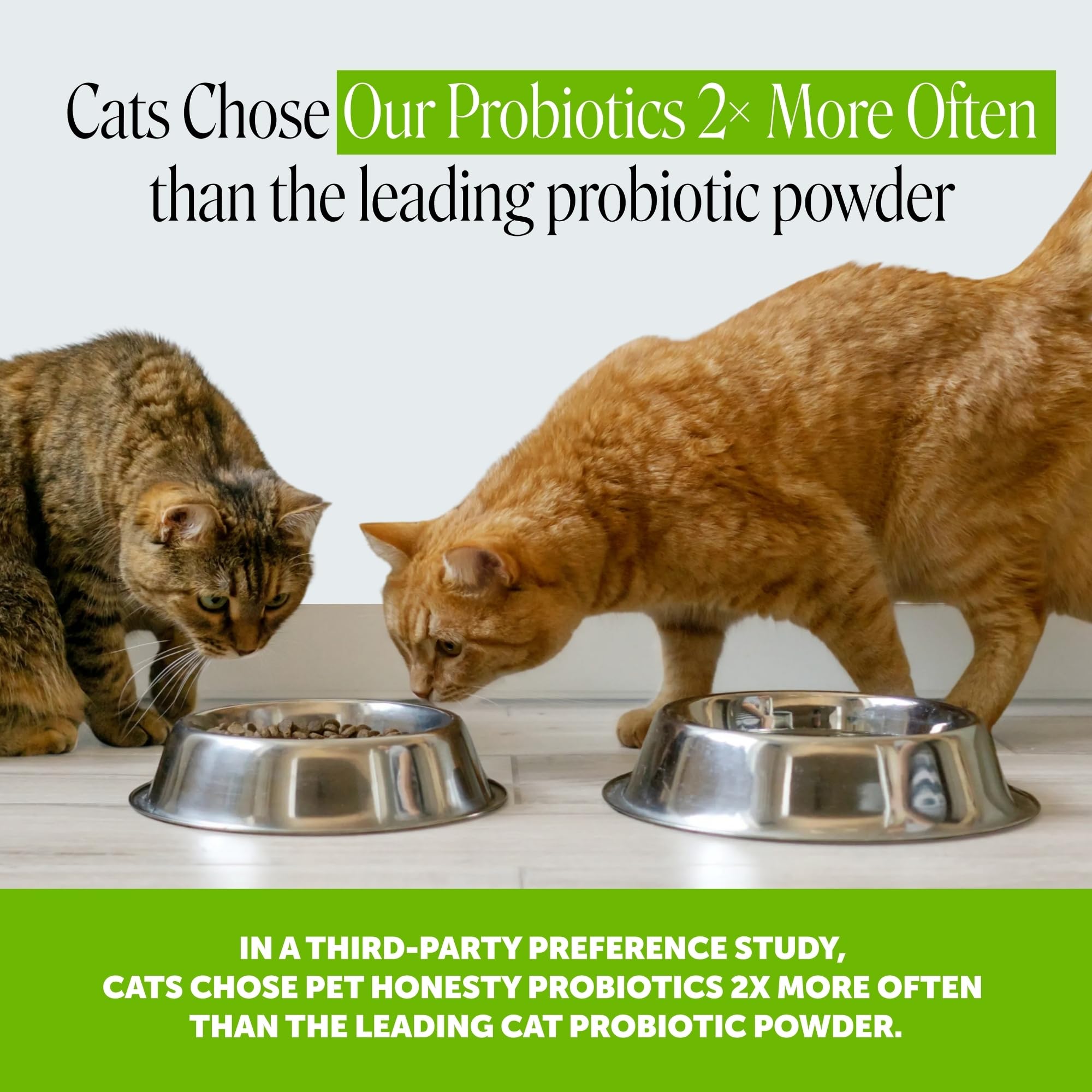 Pet Honesty friandise gros plan montrant la croûte croquante appétente