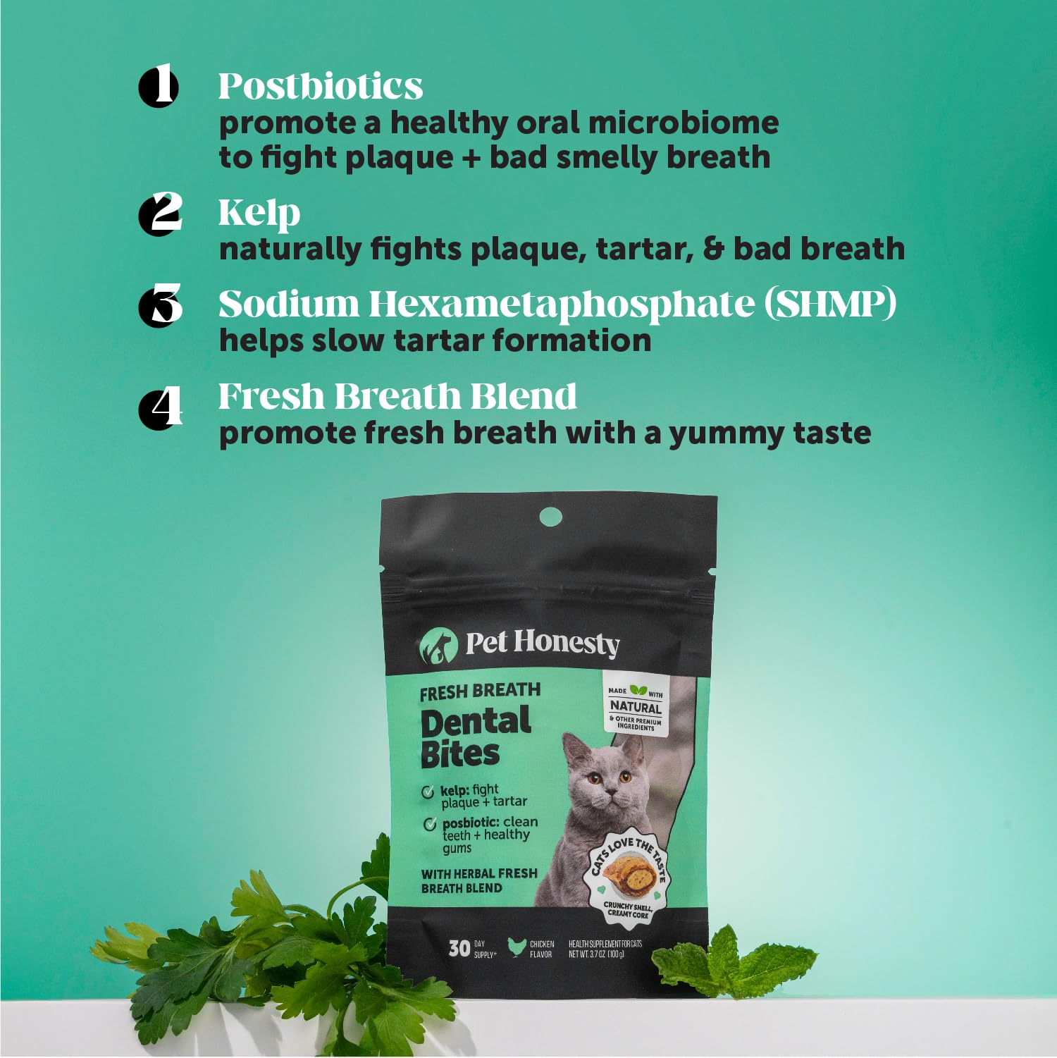 Pet Honesty friandises dans la main prêtes à donner pour routine quotidienne