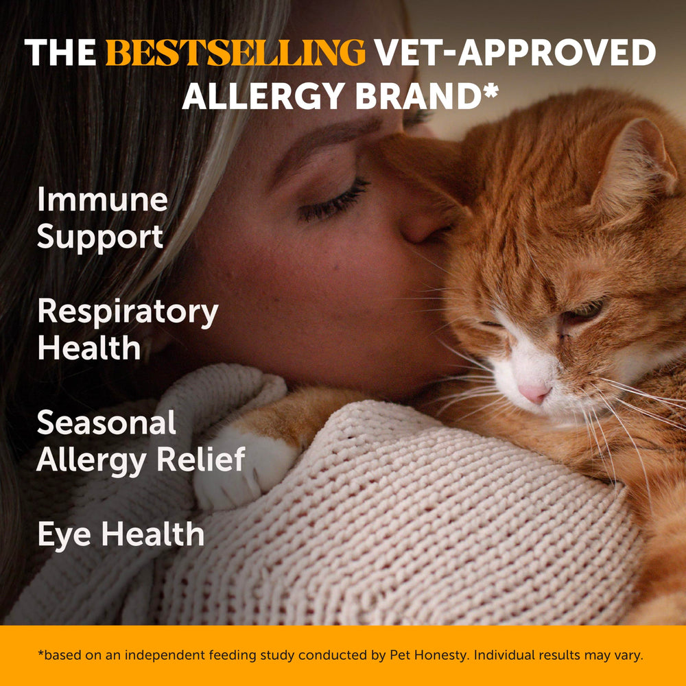 Pet Honesty friandise au poulet en gros plan, appétence visible et pratique