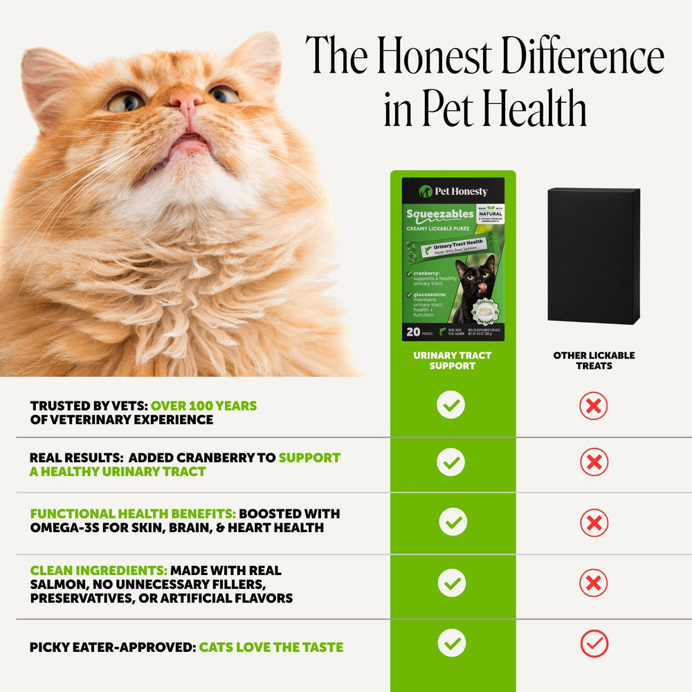 Pet Honesty gros plan saumon réel ingrédient naturel et saveur