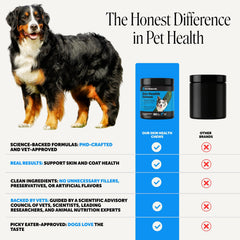 Pet Honesty ingrédient saumon image évoquant oméga-3 et nutrition marine