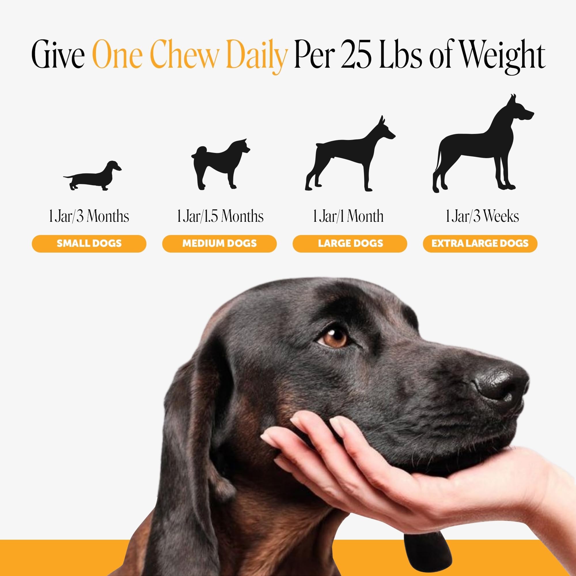 Pet Honesty ingrédients clés visibles, colostrum et probiotiques pour immunité