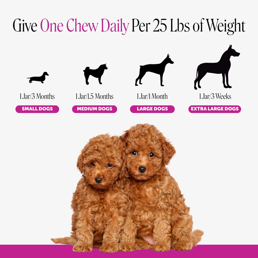 Pet Honesty étiquette listant DHA, colostrum et probiotiques pour transparence