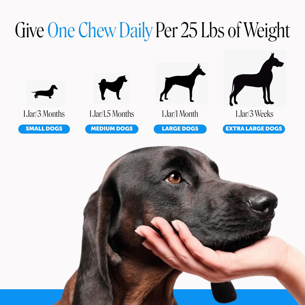 Pet Honesty ingrédients naturels affichés soutien oméga et digestion