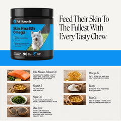Pet Honesty mains donnant une friandise bénéfice acceptation par le chien