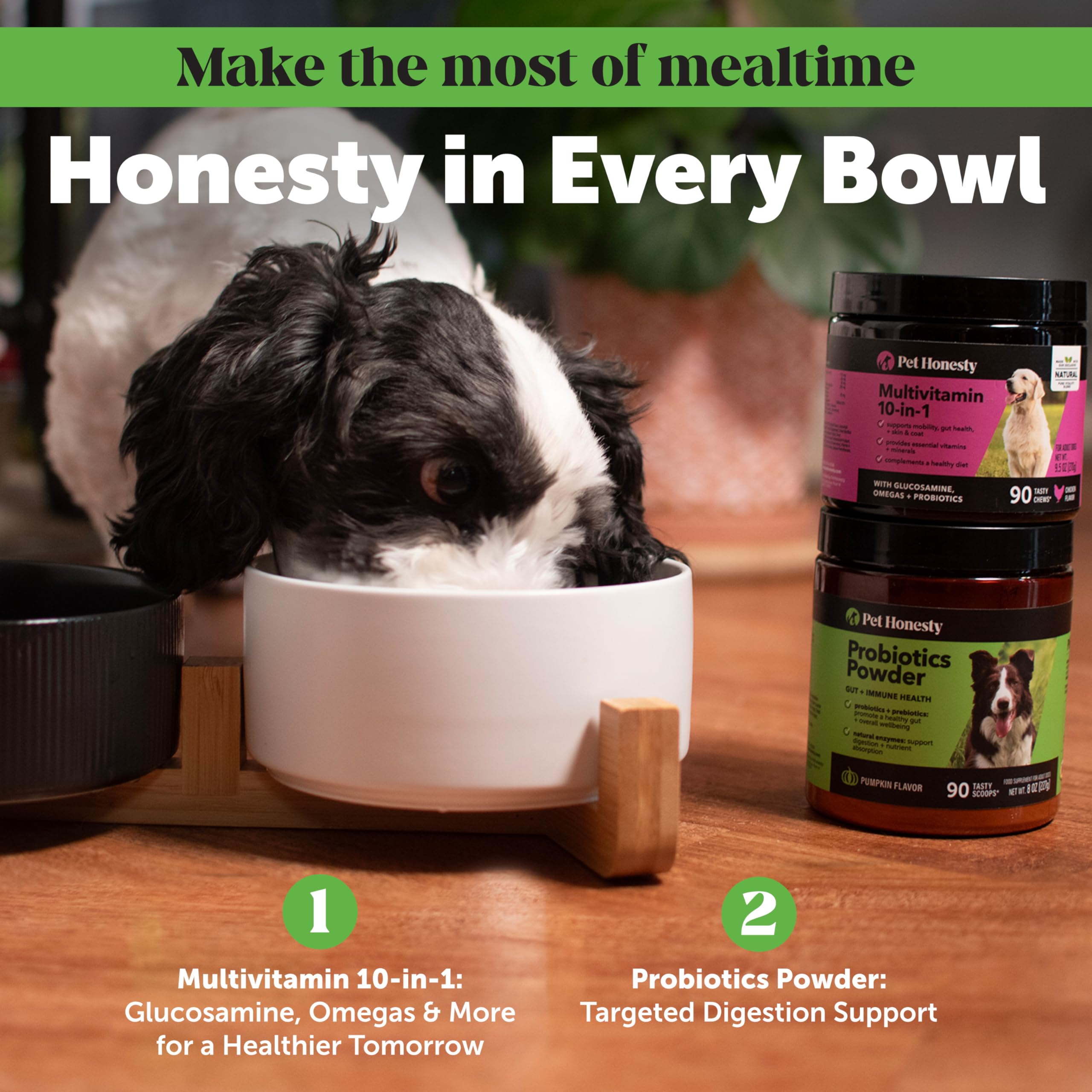 Poudre Pet Honesty mélangée aux croquettes pour un repas plus digeste