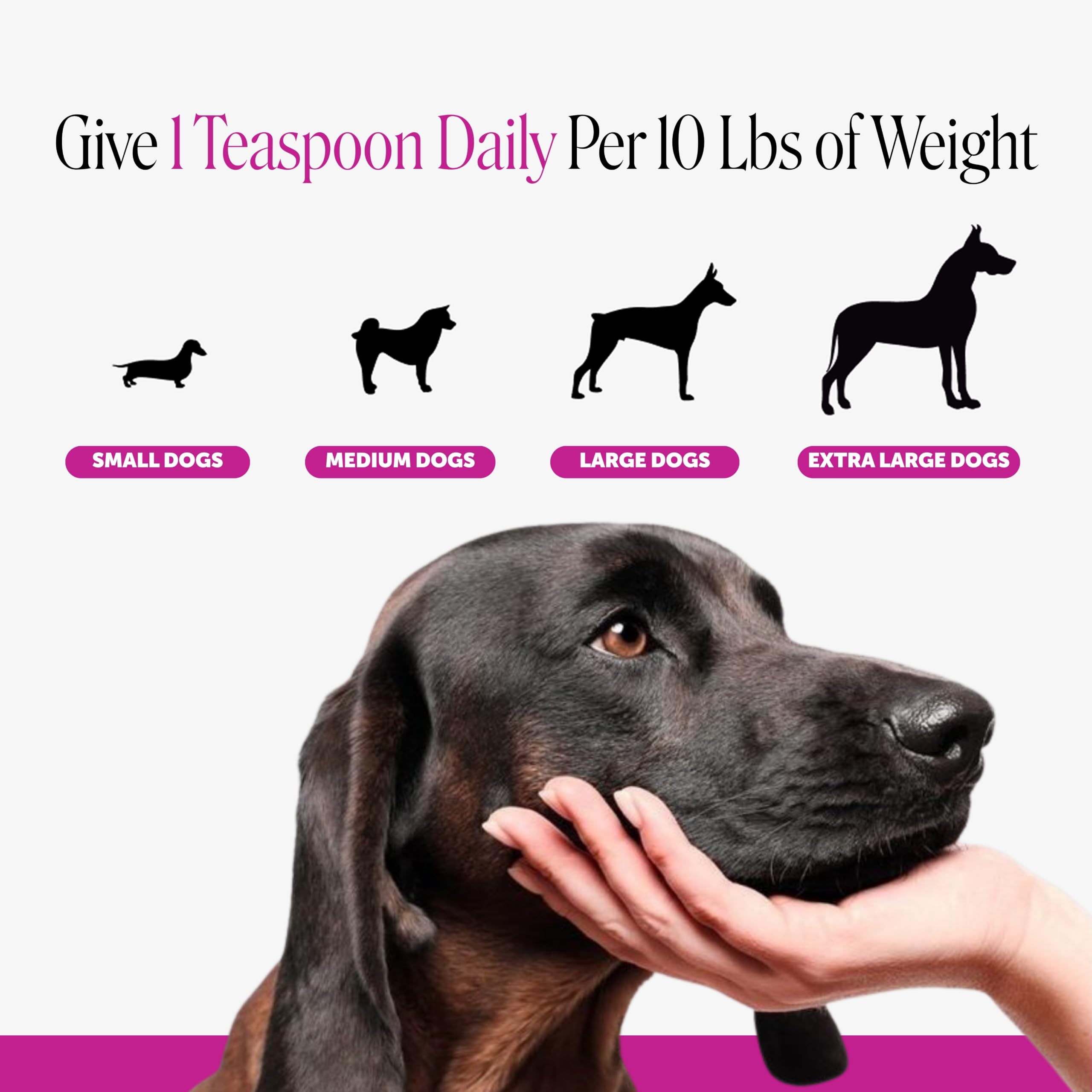 Pet Honesty bouchon doseur twist pour dosage précis et sans gâchis