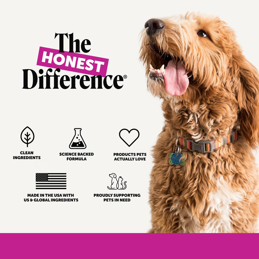 Pet Honesty chiot en extérieur recevant une friandise, soutien la routine active