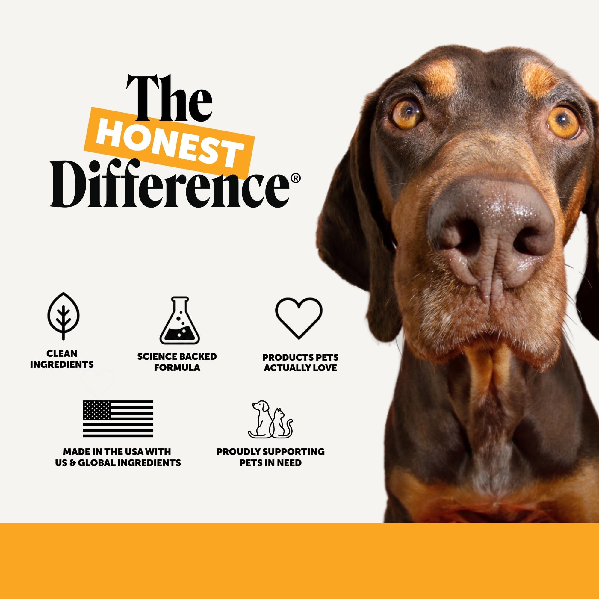 Pet Honesty mode de vie jardin avec chien, confort extérieur contre les allergies