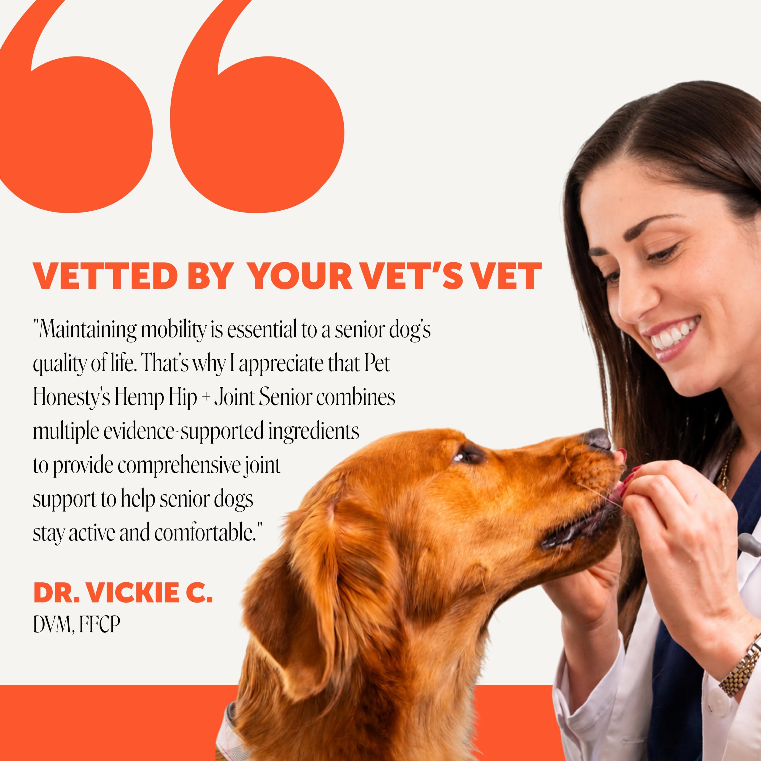 Pet Honesty pastille donnée à la main d'un chien pour prise facile