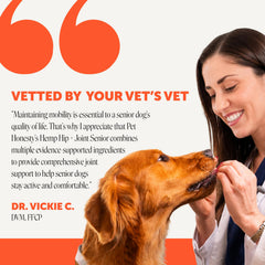 Pet Honesty pastille donnée à la main d'un chien pour prise facile