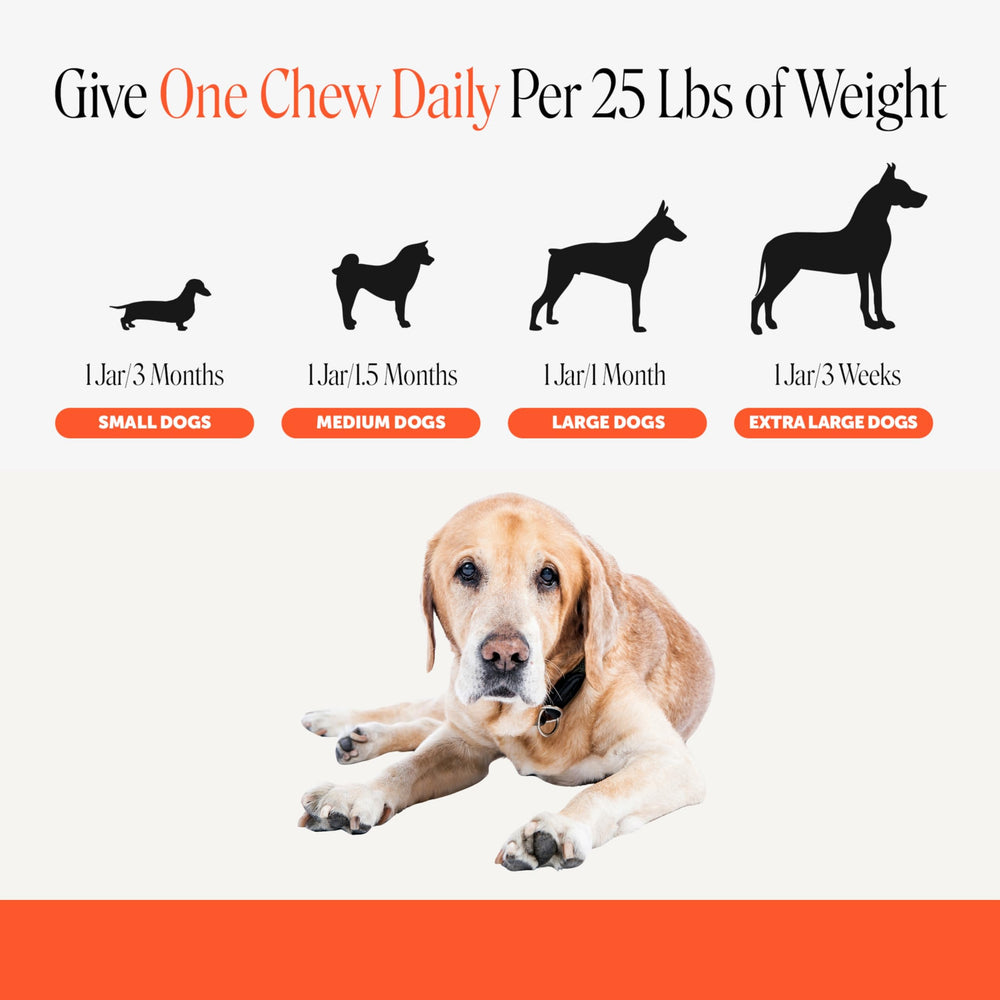 Pet Honesty démonstration dosage avec cuillère et guide de posologie clair