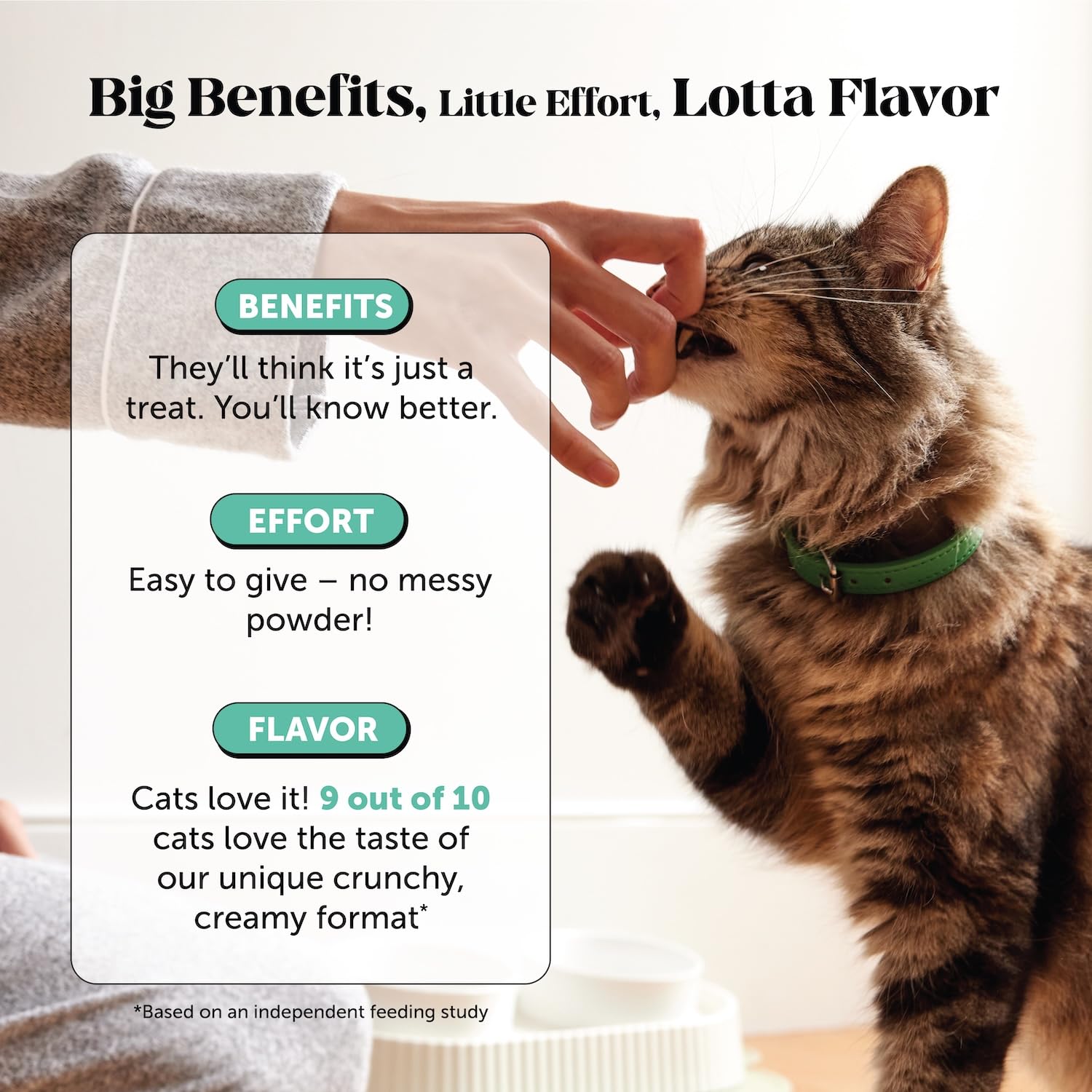 Pet Honesty poudre saupoudrée sur croquettes, intégration discrète au repas
