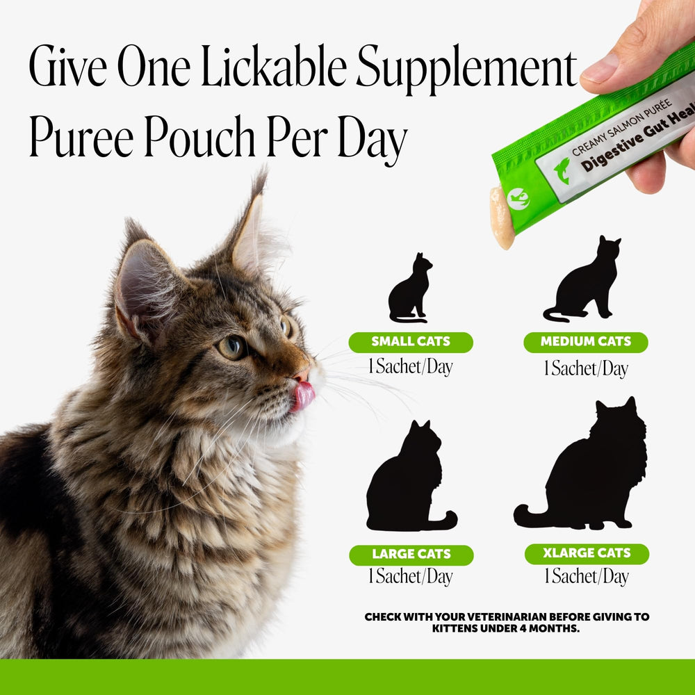 Pet Honesty comparaison de taille indiquant 20 tubes pratiques pour les déplacements
