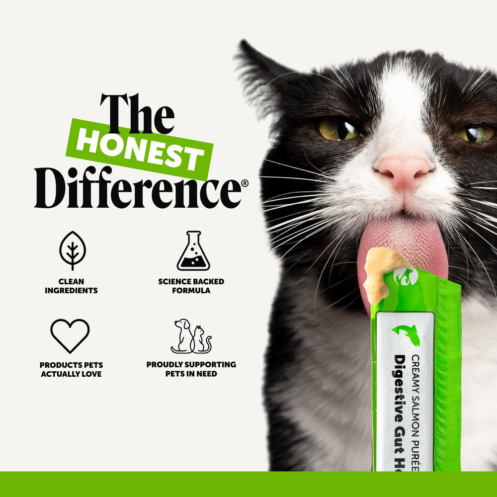 Pet Honesty étiquette lisible détaillant probiotiques, prébiotiques et absence de charges