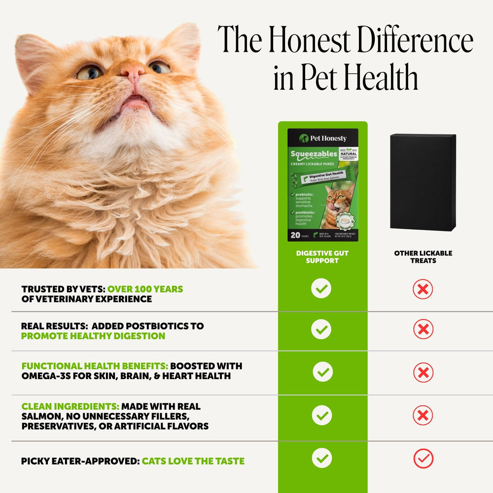Pet Honesty portion pressée dans une gamelle pour encourager l'appétit